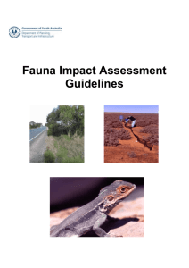 Fauna Impact Assessment Guidelines