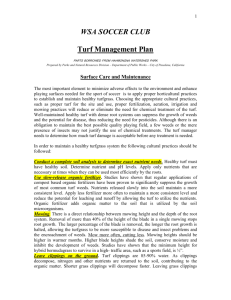 WSA Turf Management Plan