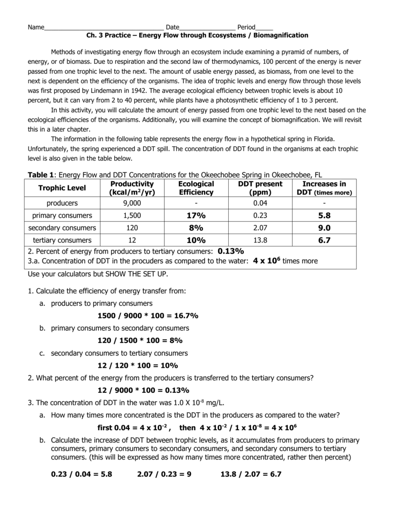 energy flow calc worksheet from ecology wb answers