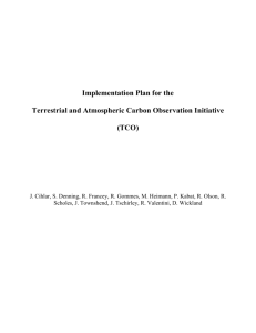 TCO implementation plan - Food and Agriculture Organization of the