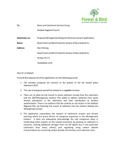 Proposed Mangrove Removal