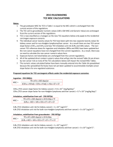 2013 Rulemaking TCE Calculation