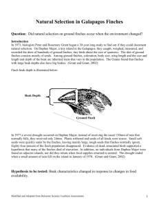 finches beak questions galapagos selection natural