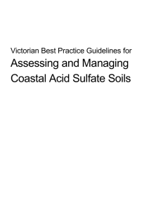 Victorian Best Practice Guidelines for