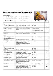 AUSTRALIAN POISONOUS PLANTS