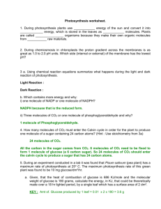 Photosynthesis worksheet. 1. During photosynthesis plants use