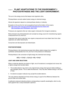 Chapter 6 PLANT ADAPTATIONS TO THE ENVIRONMENT I: