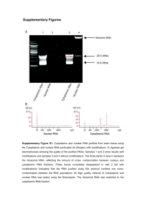 file - BioMed Central