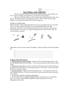 Bacteria packet and questions