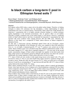 Is black carbon a long-term C pool in Ethiopian forest soils