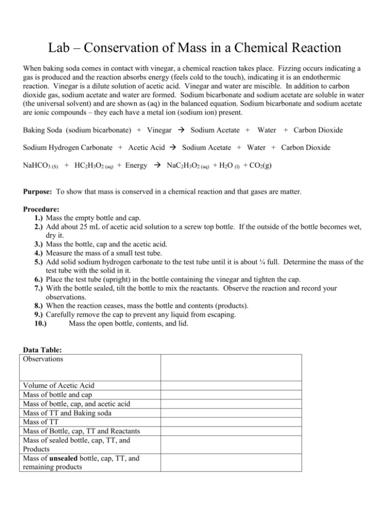 lab-conservation-of-mass-in-a-chemical-reaction