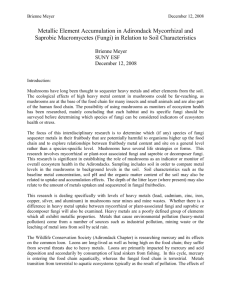 Metallic Element Accumulation in Adirondack Mycorrhizal and