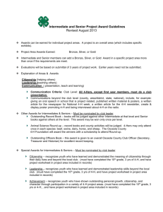 Intermediate and Senior Project Award Guidelines Checklist