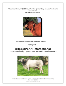 Breedplan - Namibia Brahman Breeders Society