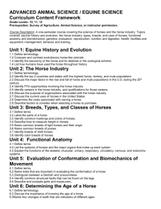 Equine Science - s3.amazonaws.com