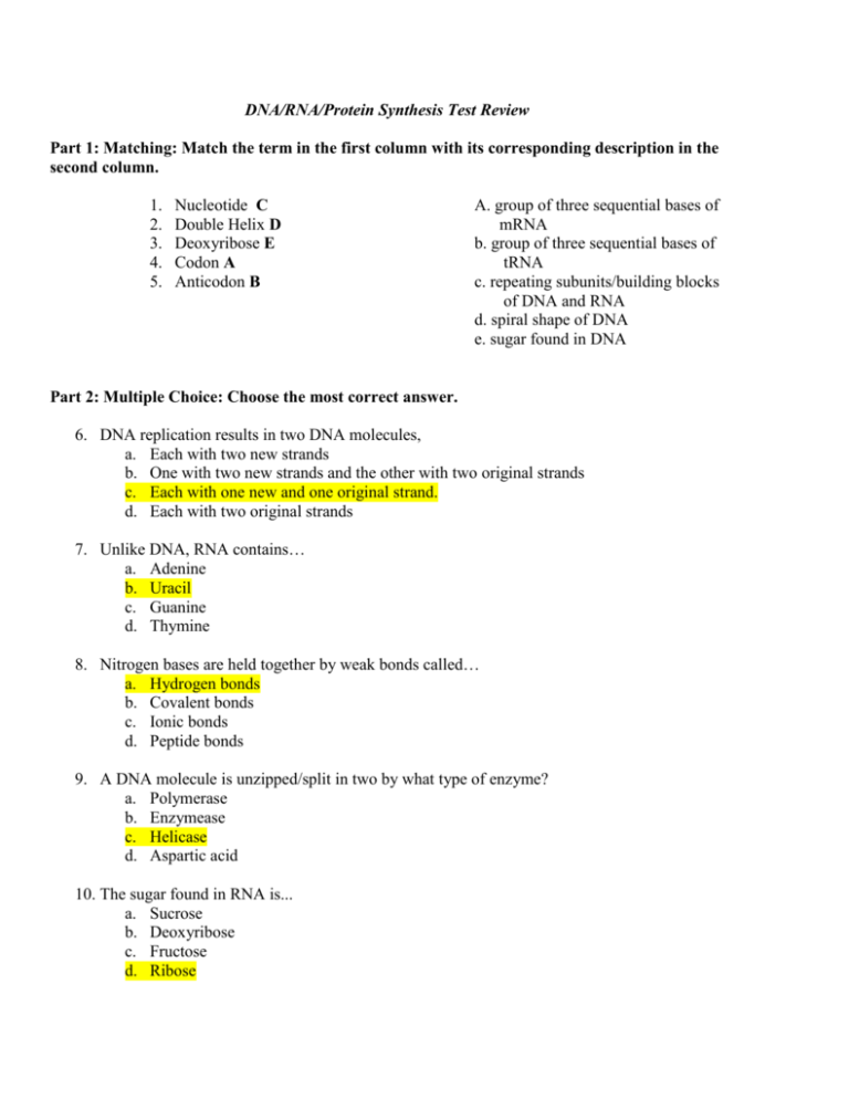 DNA RNA Protein Synthesis Test