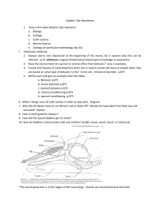 Dolphin Tale Worksheet How is the video Dolphin Tale related to