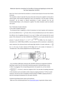 Molecular dynamics simulation for the effect of ultrasound applying