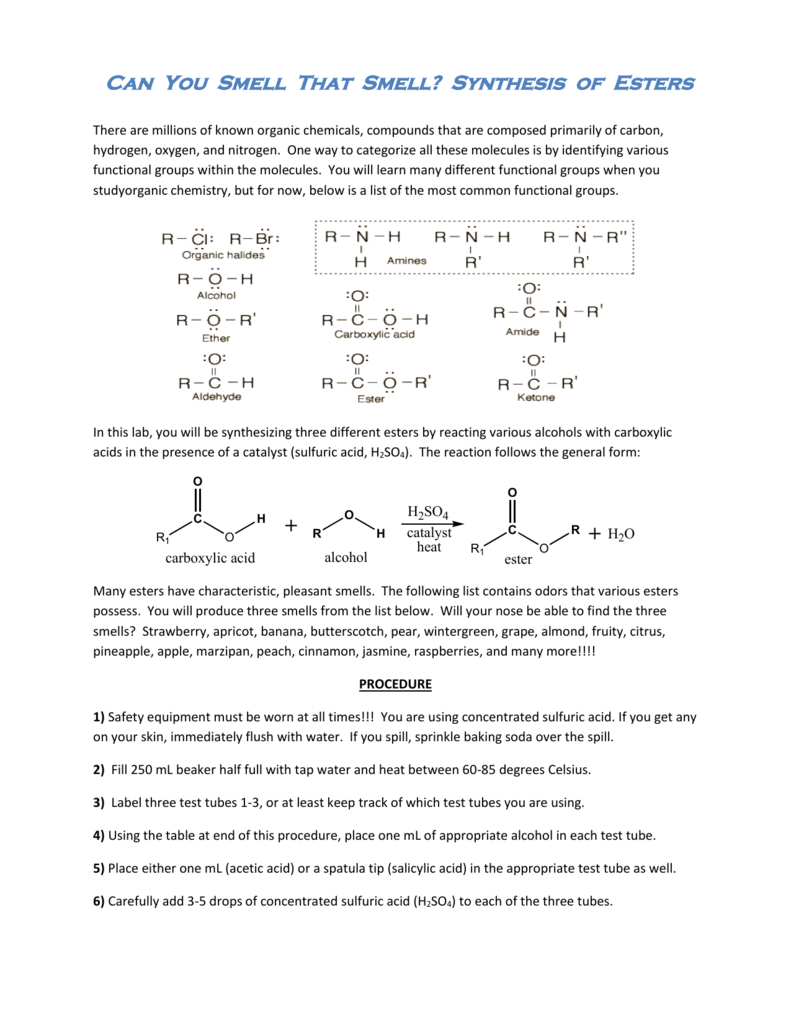 Ester Synthesis Lab Report