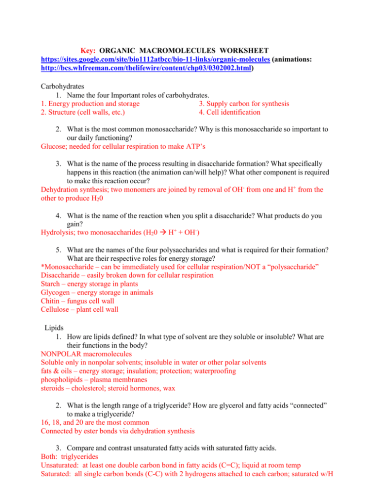 Key ORGANIC MACROMOLECULES WORKSHEET