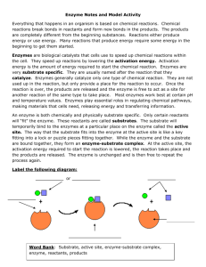 Enzyme Notes and Model Activity Everything that happens in an