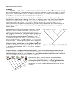 AP Biology Phylogenetic Problems Introduction: Between 1990
