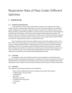 Respiration Rate of Peas Under Different Salinities