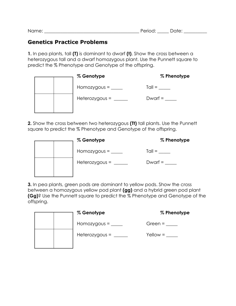 Incomplete Dominance Worksheet