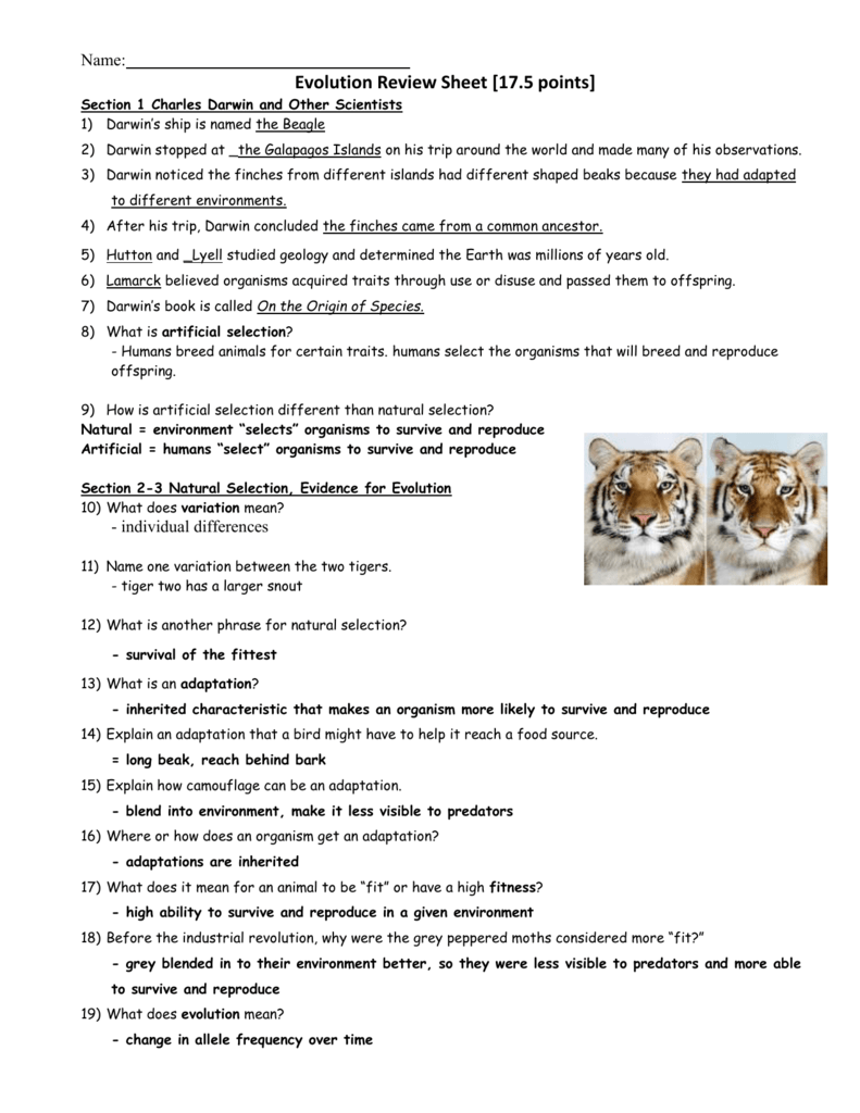 Evolution And Natural Selection Science Skills Worksheet Answers Intended For Darwin039s Natural Selection Worksheet Answers