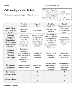 Cell Project Guidelines