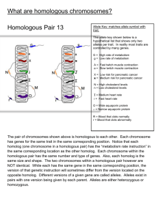 What are homologous chromosomes