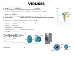 Parts of a Virus