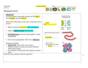 Note Packet Biochemistry Part 2 - Proteins ONLY