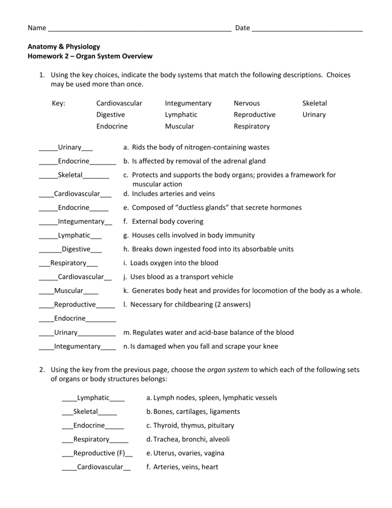 Homework 2 Organ Systems Overview WITH