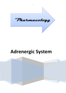 Adrenergic System