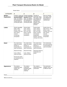 Rubric for Model