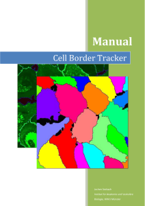 Cell Border Tracker