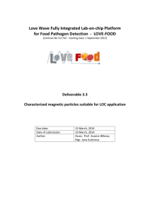 magnetic particles selected for the LOVE-FOOD project