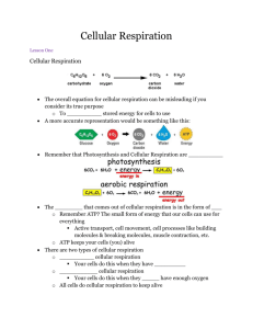 Cellular Respiration notes