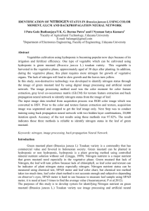 Backpropagation Neural Network Method