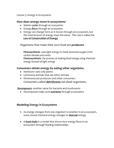 How does energy move in ecosystems