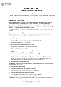 2 Plant Reactions - teachers notes