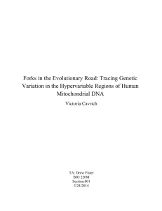Forks in the Evolutionary Road: Tracing Genetic Variation in the