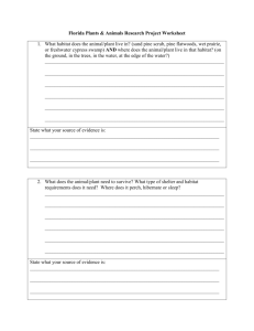 Research Worksheet