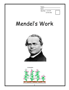 Mendel`s Work Student Packet.doc
