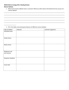 Marine habitat and coral reef background review worksheet
