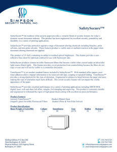 SafetySecure - Simpson Security Papers