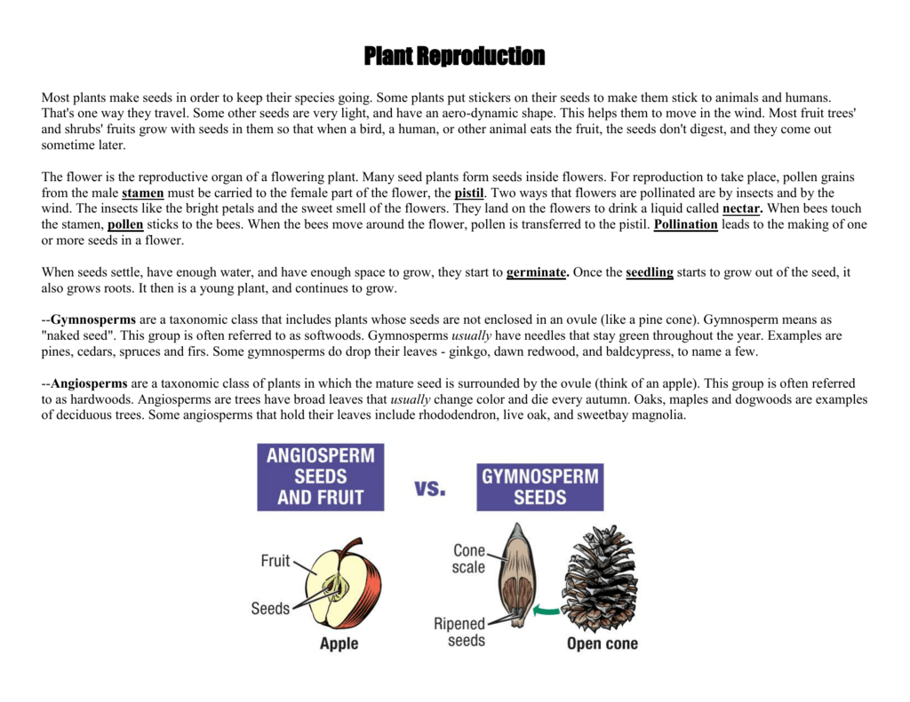 Plant Reproduction