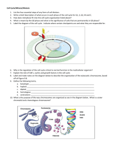 Cell Cycle/Mitosis/Meiosis List the four essential steps of any form of