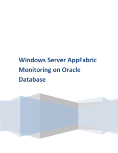 AppFabric Monitoring on Oracle 10g XE